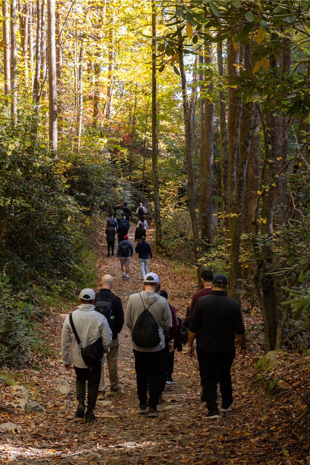 A group of people hiking on a forest trail surrounded by tall trees with autumn leaves.