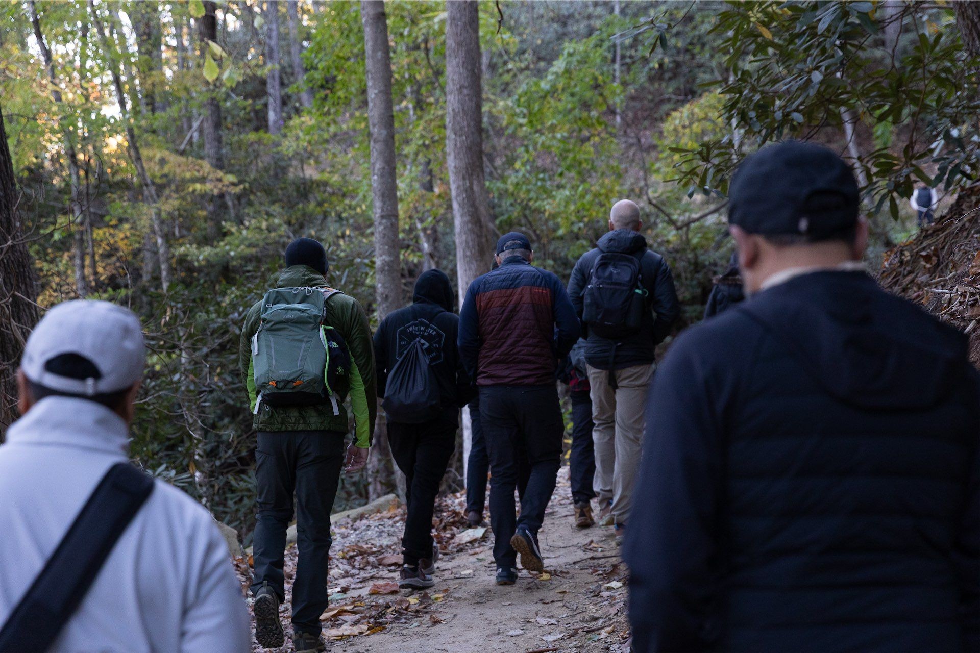 A group of hikers walks along a leaf-covered forest trail surrounded by tall trees and greenery, dressed in jackets and backpacks on a cool autumn day.