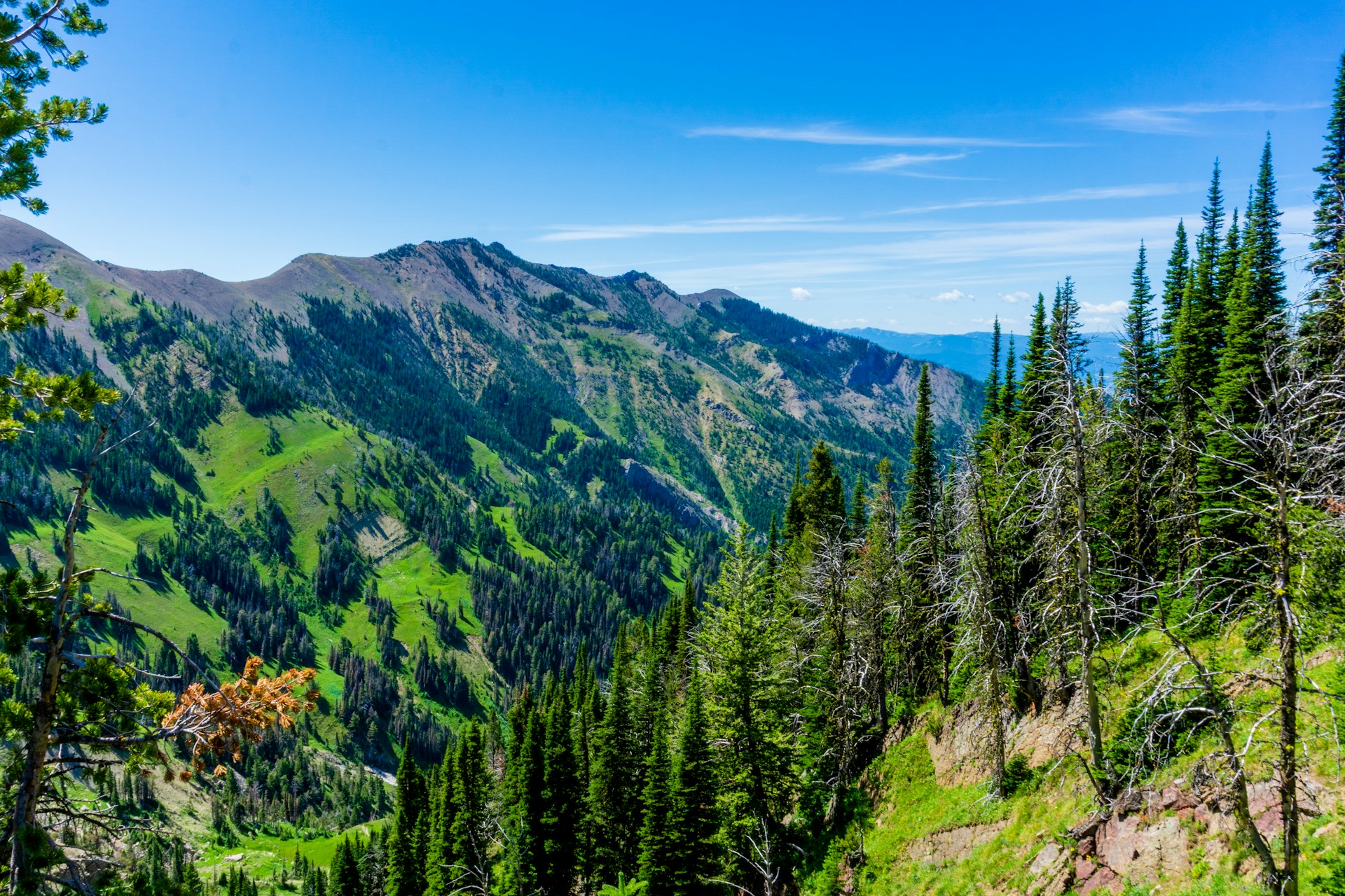 Forested ridgeline in the mountains near Bozeman, Montana